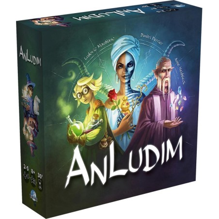 jeu de société anludim