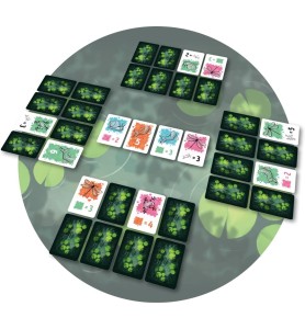 symbiose
